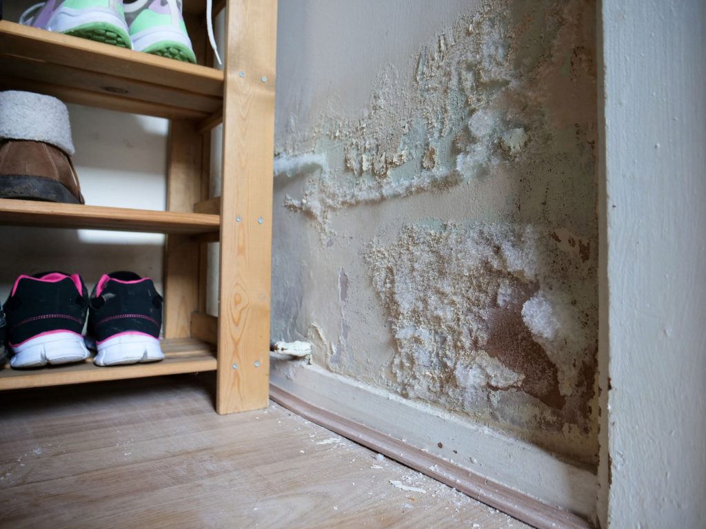 Damp Walls In Rented House