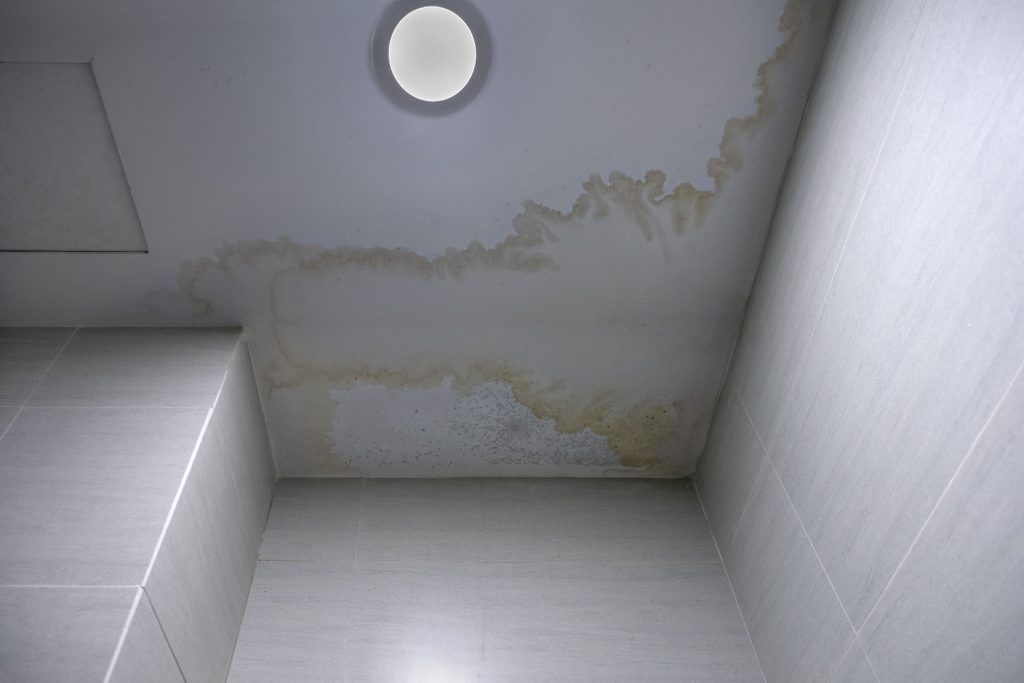 Ceiling damp in council apartment in disrepair