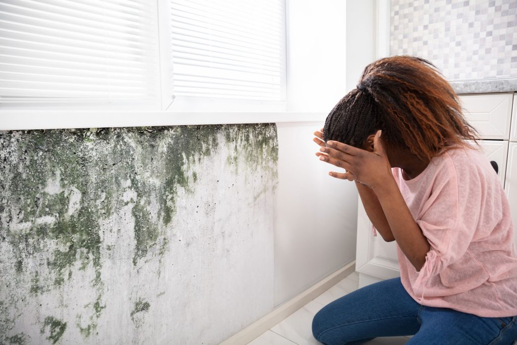 Council tenant unhappy with mould in flat in disrepair